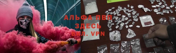 дмт Ельня