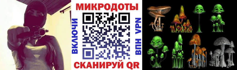 OMG зеркало  наркотики  Аткарск  Псилоцибиновые грибы мухоморы 