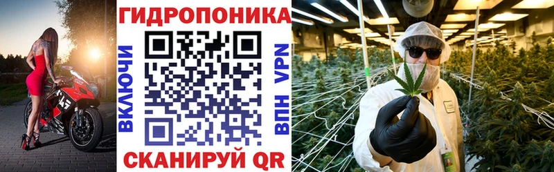 купить наркоту  Аткарск  МАРИХУАНА Bruce Banner 